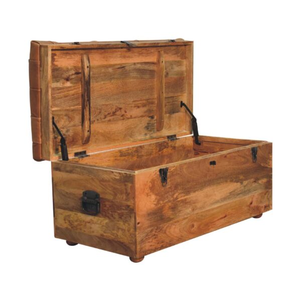 Buffalo Hide Oak ish Storage Trunk - Image 9