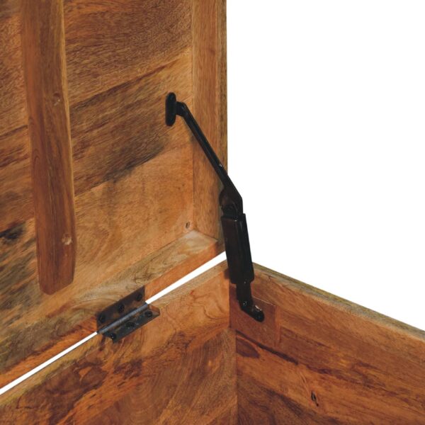 Buffalo Hide Oak ish Storage Trunk - Image 10