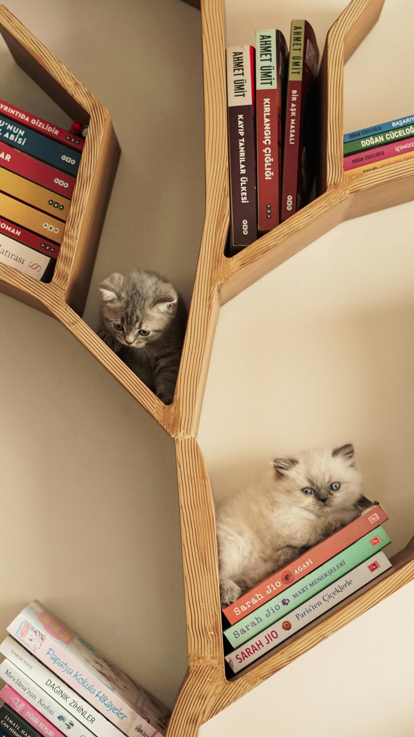 Best bookshelf for small home office Canada showing a tall narrow bookshelf in a compact modern workspace