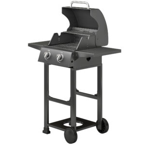 2 Burner Propane Gas Grill with Wheels, 18,400 BTU Portable BBQ Grill with Foldable Side Shelves, Warming Rack, Black