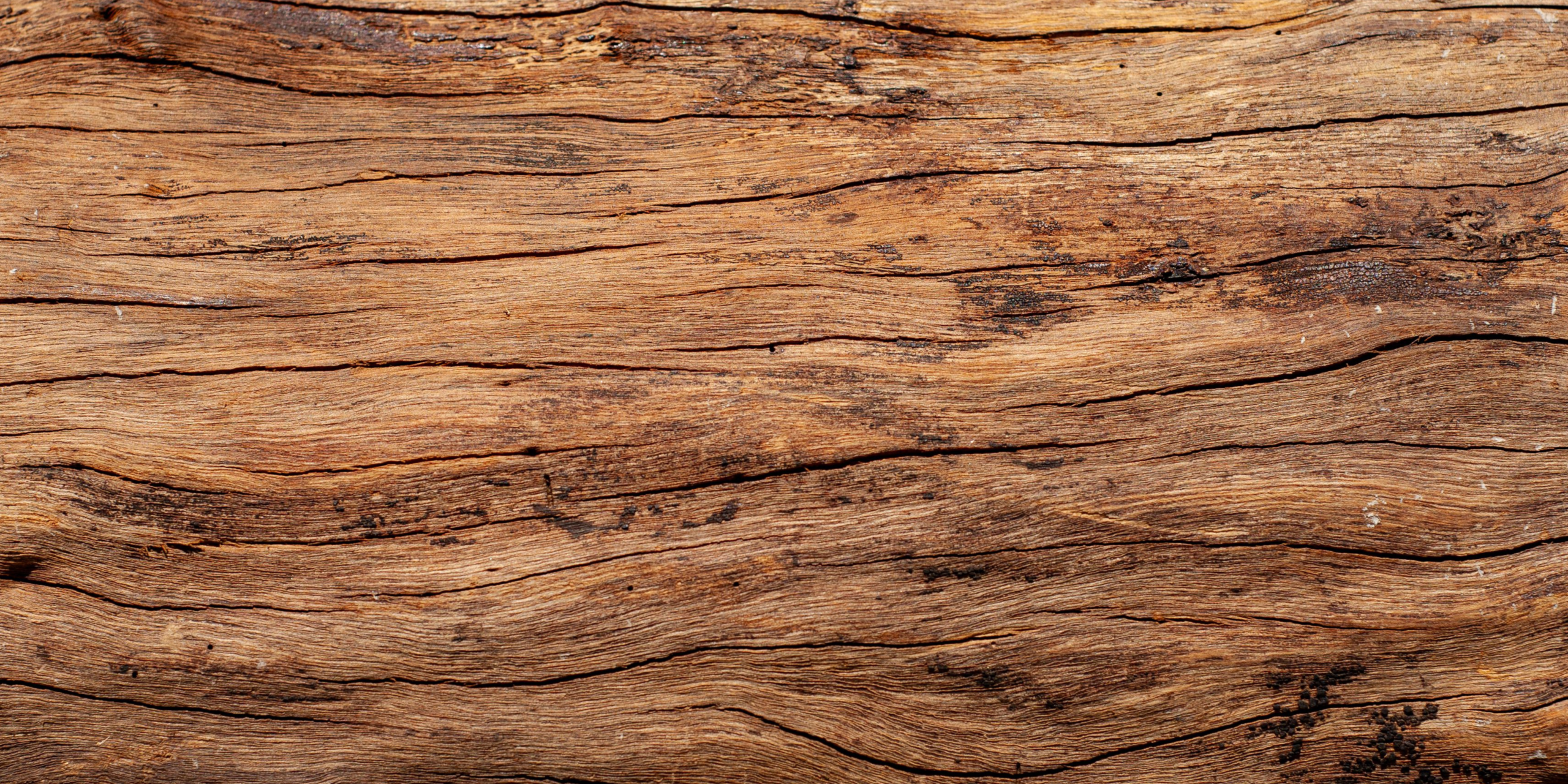 Mango Wood vs. Oak vs. Pine: Which Solid Wood Furniture Is Worth It in Canada?